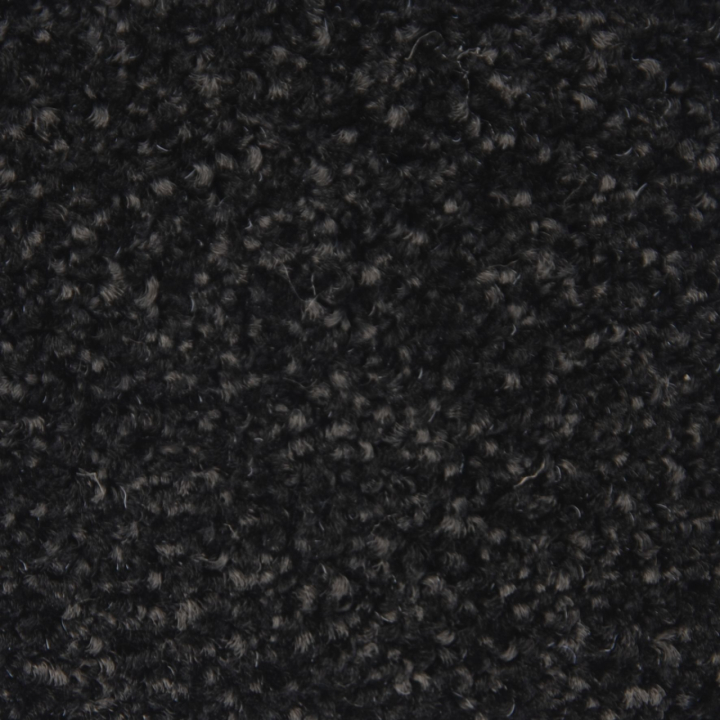Princeton 795